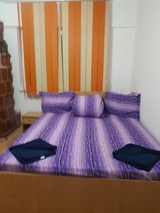 Apartament 2 Camere Semidecomandat "La Gicu" Сулина Екстериор снимка
