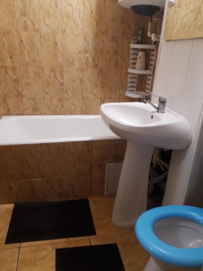 Apartament 2 Camere Semidecomandat "La Gicu" Сулина Екстериор снимка